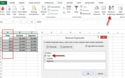 Remove Duplicate in excel