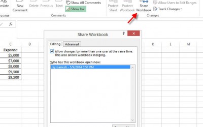 Share Excel  Workbook to others