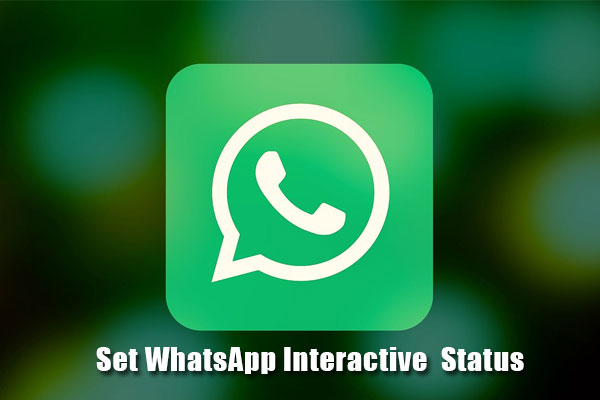 set WhatsApp Interactive status